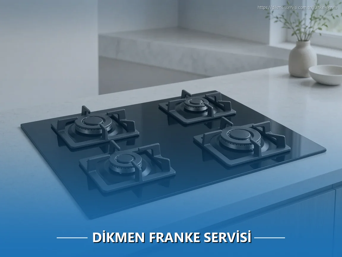 Dikmen Franke Servisi