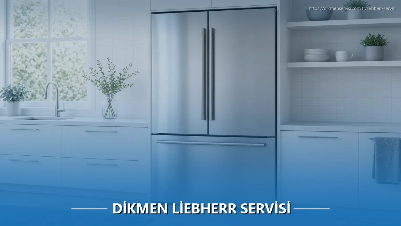 Dikmen Liebherr Servisi
